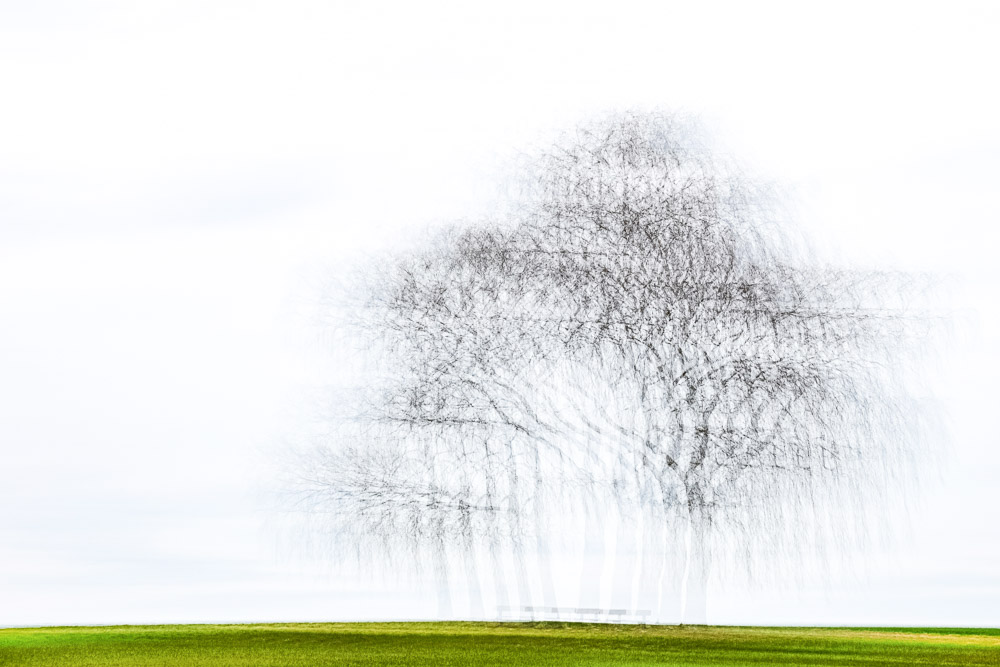 Platz 7 Conny Kleiner